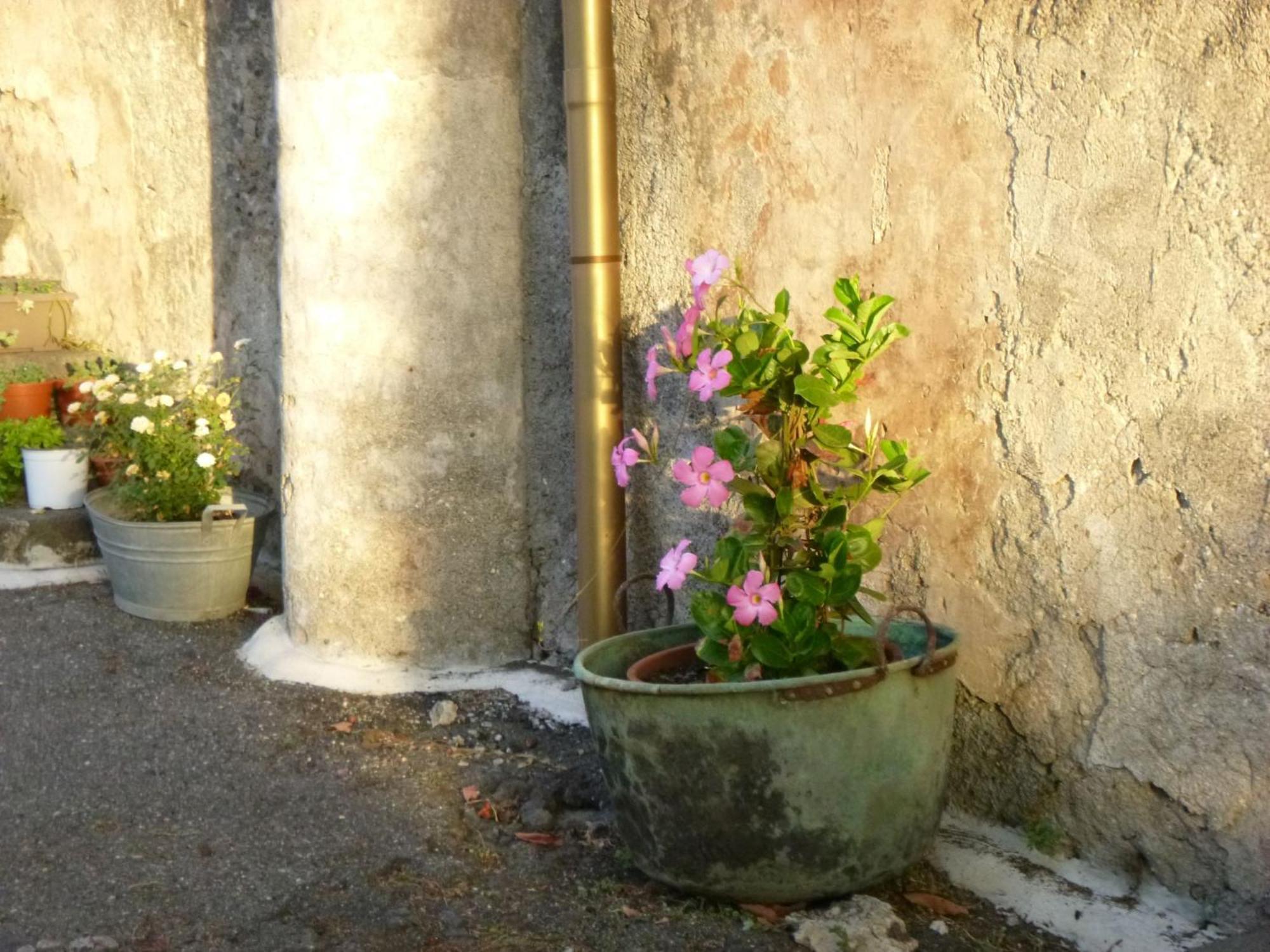 Baglio Delle Rose Bed & Breakfast Giarre Eksteriør bilde
