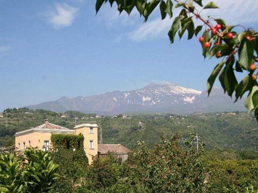 Baglio Delle Rose Bed & Breakfast Giarre Eksteriør bilde