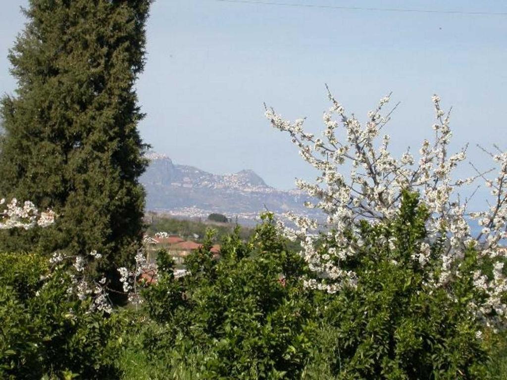 Baglio Delle Rose Bed & Breakfast Giarre Eksteriør bilde
