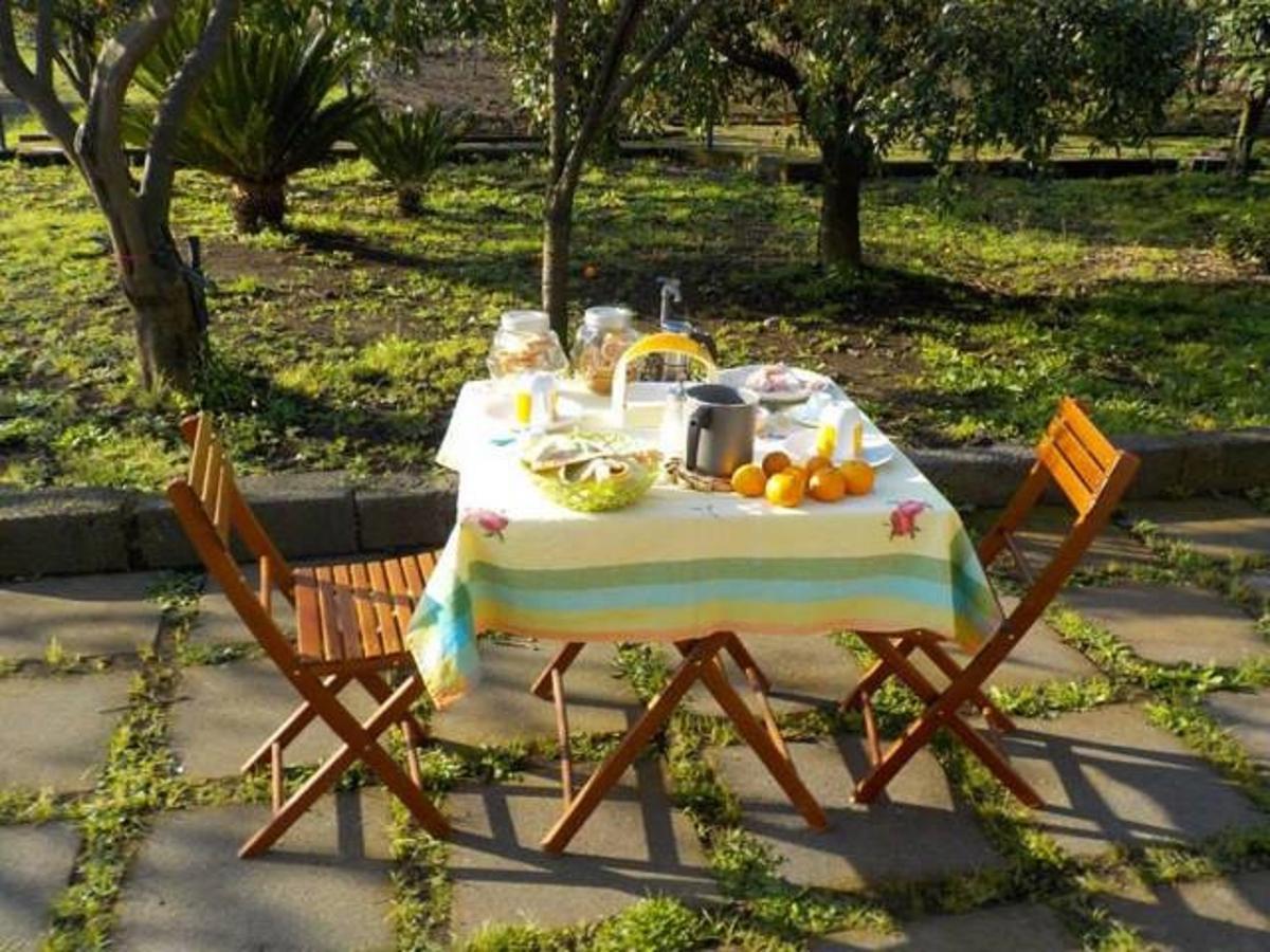 Baglio Delle Rose Bed & Breakfast Giarre Eksteriør bilde